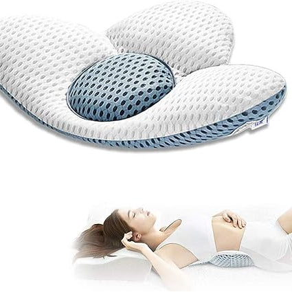 Cushion Back Support Pillow