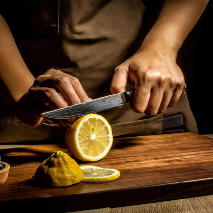 Damascus Knives 67 Layer Chef Knife Japanese Santoku Damascus 8 Inch Chef Knife  Professional Knives Set Utility Paring Knife