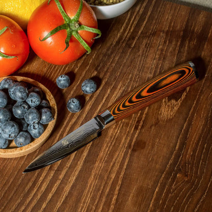 Damascus Knives 67 Layer Chef Knife Japanese Santoku Damascus 8 Inch Chef Knife  Professional Knives Set Utility Paring Knife