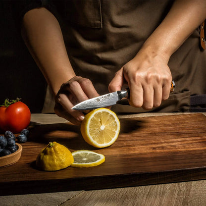 Damascus Knives 67 Layer Chef Knife Japanese Santoku Damascus 8 Inch Chef Knife  Professional Knives Set Utility Paring Knife